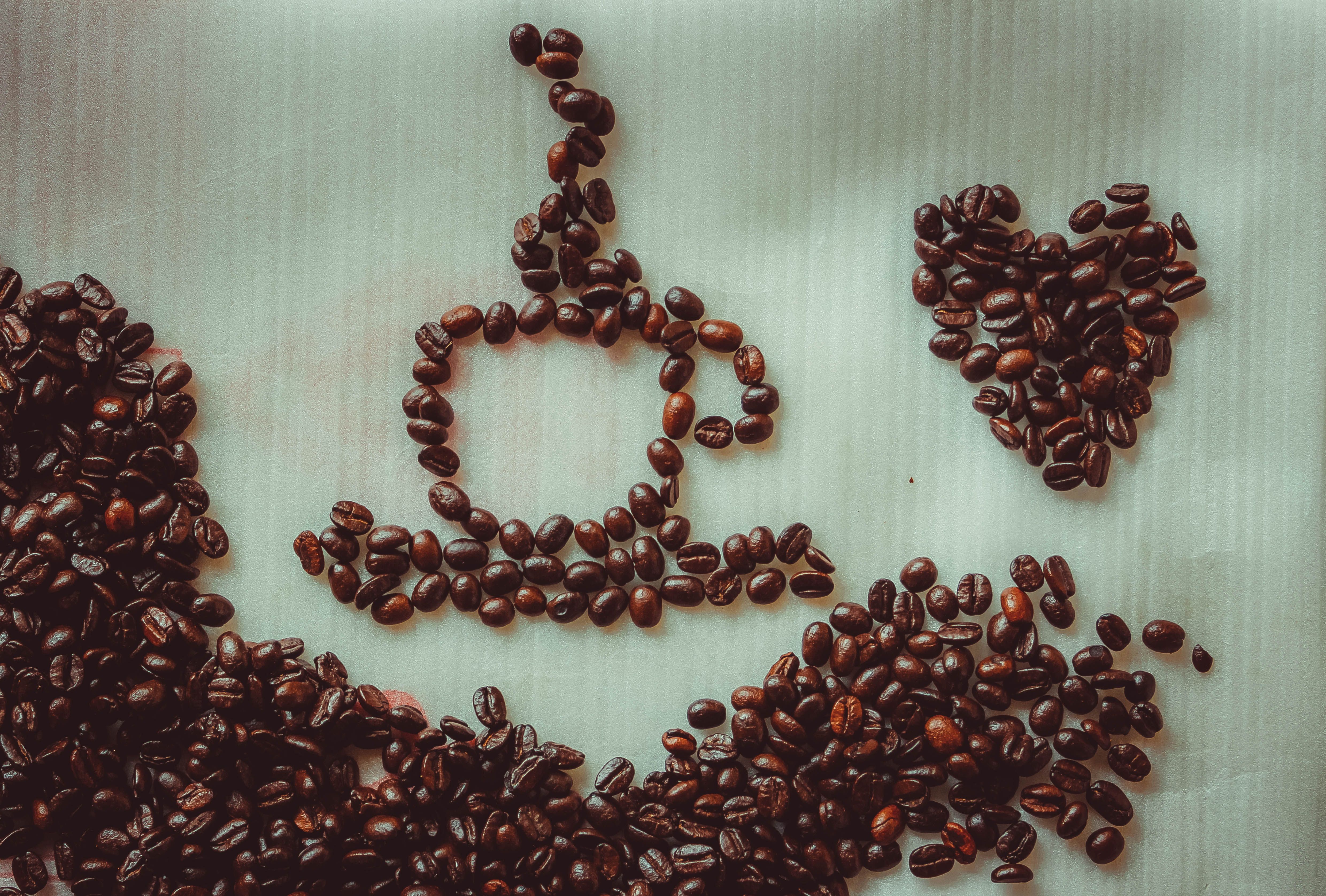 Freshly roasted coffee beans in a wooden scoop